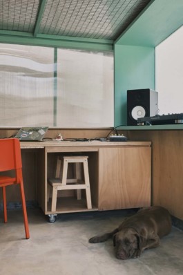 ZXC Studio