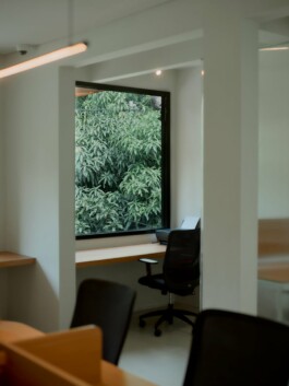 ZXC Studio
