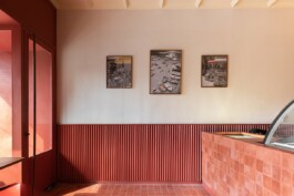 ZXC Studio