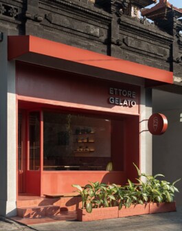 ZXC Studio