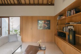 ZXC Studio