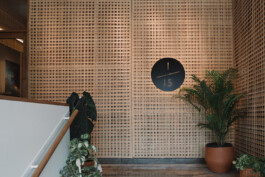 ZXC Studio