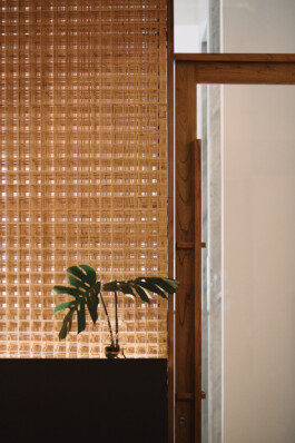 ZXC Studio
