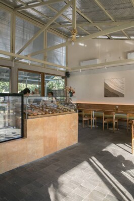 ZXC Studio
