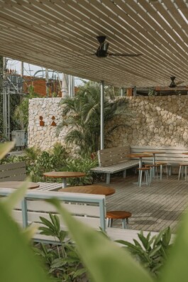 ZXC Studio