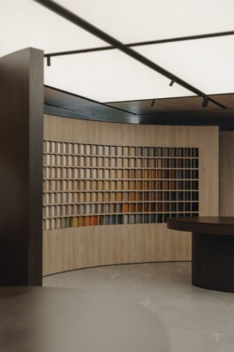 ZXC Studio