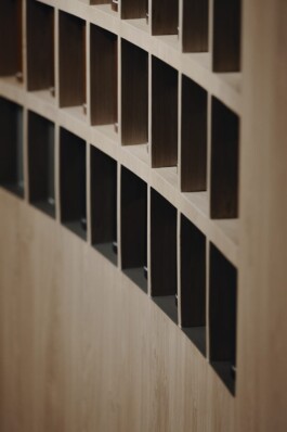 ZXC Studio