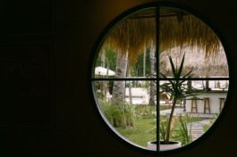 ZXC Studio