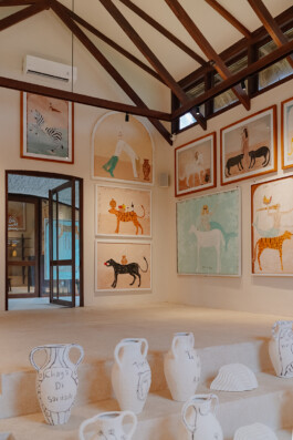 ZXC Studio