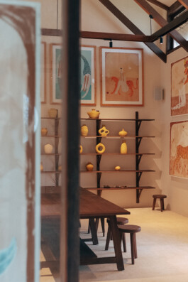 ZXC Studio