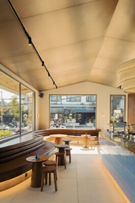 ZXC Studio